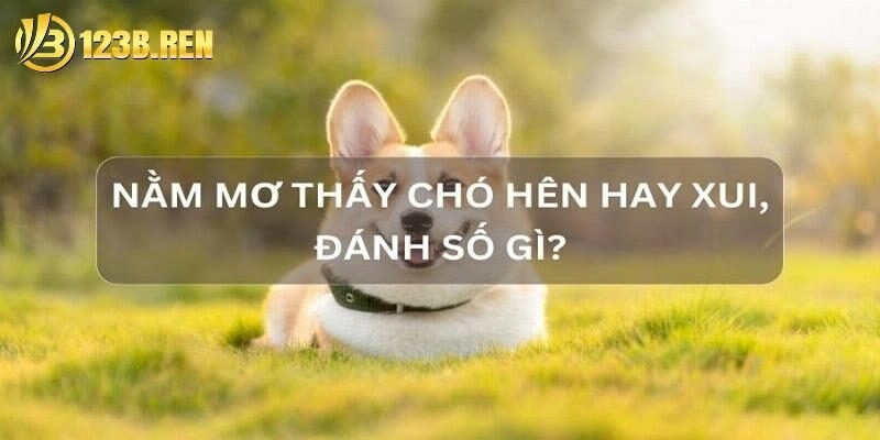 mơ thấy chó